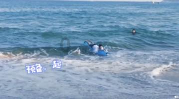 美人鱼的聚会